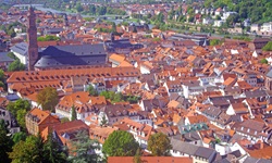 Luftbild einer Stadt entlang des Mains