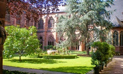 Der begrünte Innenhof des Mainzer Doms.