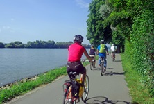 Radler auf dem Rhein-Radweg zwischen Mainz und Rüdesheim.