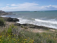 Malloquinsche Landschaft mit blühenden Wiesen und einer felsigen Meeresbucht