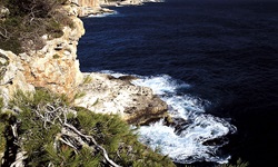 Schäumend trifft das dunkelblaue Meer auf eine Felsküste Mallorcas.