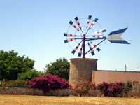 Ein Turm mit blau-weiß-rotem Windrad in der blühenden Landschaft Mallorcas.