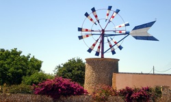 Ein Turm mit blau-weiß-rotem Windrad in der blühenden Landschaft Mallorcas.
