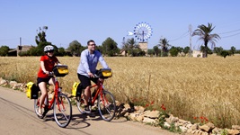 Ein Radlerpärchen auf Mallorca fährt auf einem asphaltierten Radweg an blühenden Mohnblumen und einem Getreidefeld vorbei. Im Hintergrund sind Palmen und eine Windmühle zu erkennen.