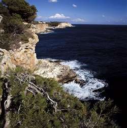 Blick auf eine imposante Steilküste von Mallorca
