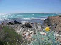 Blick auf Klippen in einer Bucht von Mallorca