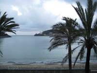 Sandstrand mit Palmen und Blick zu einer Stadt auf Mallorca