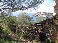 Ein schmaler Weg - links mit Sträuchern und Bäumen bewachsen, rechts eine Steinmauer, an dem ein Rad abgestellt ist - im Hintergrund sieht man eine prächtige Steilküste von Mallorca