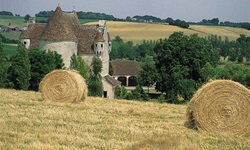 Heuballen auf einer gemähten Wiese vor dem Herrenhaus "Manoir de Courboyer" bei Nocé.