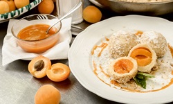 Appetitlich auf einem Teller angerichtete Marillenknödel.