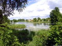 Typische Landschaft der Masurischen Seenplatte: Seen, Sümpfe und viele Bäume und Sträucher