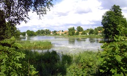 Typische Landschaft der Masurischen Seenplatte: Seen, Sümpfe und viele Bäume und Sträucher