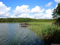 Typisch masurische Landschaft mit See, Wald und Wiese