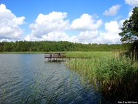 Typisch masurische Landschaft mit See, Wald und Wiese