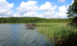 Typisch masurische Landschaft mit See, Wald und Wiese