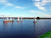 Eine Gruppe Segelboote auf einem See der Masurischen Seenplatte