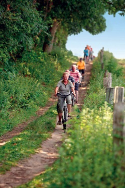 Eine Radlergruppe fährt auf der Masurischen Seenplatte an einem Waldrand entlang.