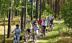 Eine Radlergruppe fährt durch einen Wald auf der Masurischen Seenplatte.