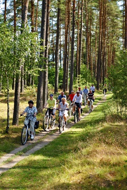 Eine Radlergruppe fährt durch einen Wald auf der Masurischen Seenplatte.