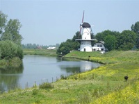 Eine Windmühle an der Maas im idyllischen Landstrich Betuwe.