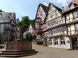 Altstadt mit Stadtbrunnen von Miltenberg am Main-Radweg