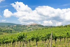 Blick über die Weinberge im Chianti-Gebiet zu einer Stadt auf einem Hügel