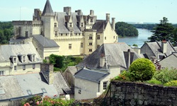 Blick zum Schloss Montsoreau, rechts im Hintergrund ist die Loire zu sehen