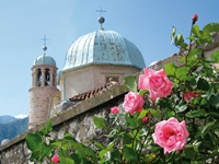 Der Turm der auf einer kleinen Insel in der Bucht von Kotor gelegenen Kirche "Our Lady of the Rocks" ragt hinter einer Mauer auf, an der sich Rosen entlangranken.
