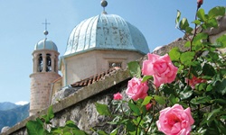 Der Turm der auf einer kleinen Insel in der Bucht von Kotor gelegenen Kirche "Our Lady of the Rocks" ragt hinter einer Mauer auf, an der sich Rosen entlangranken.