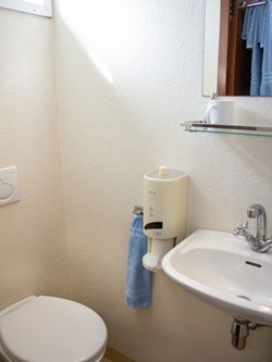 Toilette und Waschbecken in einem der Badezimmer an Bord der MS Flora.