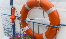Rettungsring in orange-weiß an der Reling der MS Allure. Im Vordergrund ein Blumentopf mit lila Blumen