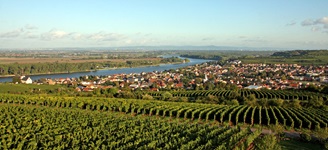 Blick nach Nierstein mit seinen bekannten Weinbergen im Vordergrund und dem vorbeischlängelnden Rhein auf der linken Seite von Nierstein