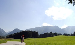 Ein Radler fährt an Wiesen und Wälder vorbei, währen im Hintergrund die Alpen zu erkennen sind