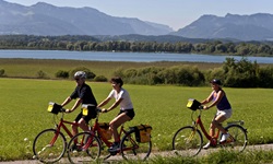Fahrradfahrer radeln auf einem Radweg durch die bayrische Landschaft mit See und der einzigartigen Alpenkulisse