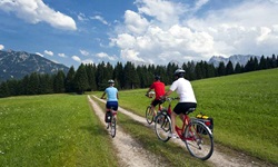 Drei Fahrradfahrer radeln auf einem Feldweg in Richtung Wald auf der Strecke der bayerischen Seenrunde bzw. der Münchner Seen