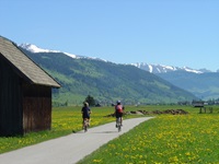 Zwei Radfahrer im Lungau halten auf die in der Ferne aufragenden, schneebedeckten Gipfel zu, während rechts und links des Radweges der Löwenzahn blüht.