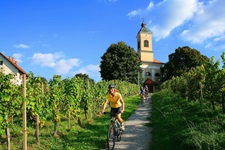 Eine Radlerin fährt auf dem Mur-Radweg durch ein Weinanbaugebiet - im Hintergrund ragt ein Kirchturm auf.