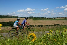 Ein Radlerpärchen auf dem herbstlichen Murradweg, der sich zwischen blühenden Sonnenblumen und abgeernteten Kornfeldern dahinschlängelt.