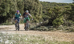Zwei Biker radeln einen felsigen Weg durch einen Nationalpark in Dalmatien hinauf