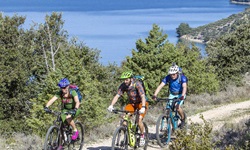 Drei Mountainbiker biken in einem Nationalpark Dalmatiens vor der traumhaften Kulisse der tiefblauen Adria.