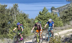 Drei Mountainbiker biken in einem Nationalpark Dalmatiens vor der traumhaften Kulisse der tiefblauen Adria.