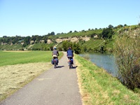 Zwei Fahrradfahrer mit Gepäcktaschen radeln auf einem Radweg neben dem Neckar entlang - im Hintergrund sind üppige Weinterrasen zu erkennen