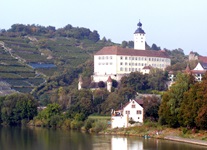 Blick über den Neckar auf das schöne Schloss Horneck in Gundelsheim