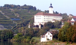 Blick über den Neckar auf das schöne Schloss Horneck in Gundelsheim