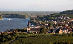 Blick auf Nierstein am Rhein mit dem Rhein auf der linken Seite