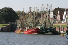 Drei Krabbenkutter liegen im Hafen von Greetsiel vor Anker.