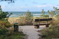 Eine Bank mit Blick auf die Ostsee lädt auf der Halbinsel Darß zum Verschnaufen ein.