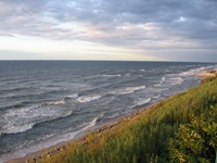 Ostseewellen branden an einen steinigen Strand. Im Bildvordergrund üppige Dünenvegetation.