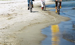 Drei Fahrradfahrer fahren am Strand der Ostsee entlang