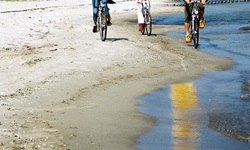 Drei Radler fahren am Strand der Ostsee entlang